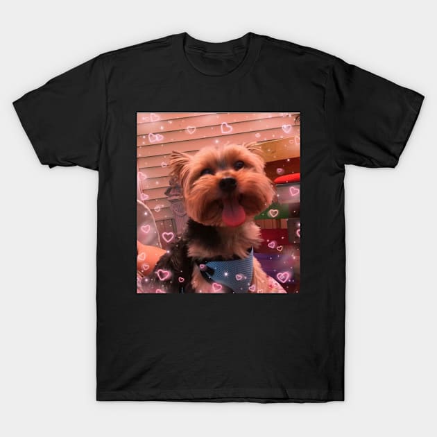 I Love My Yorkshire Terrier T-Shirt by wonderwoman0317